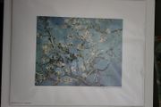 Van Gogh  Print