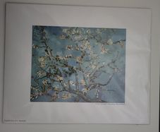 Van Gogh  Print
