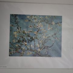 Van Gogh  Print