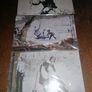 Banksy's 'The Pistol Panda' Image 3