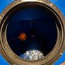 EPS Multiboost tank 500 litre working perfectly only few years old  ready to go Image 5