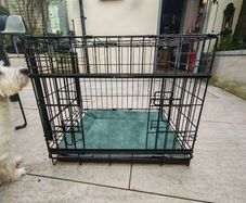 dog crate