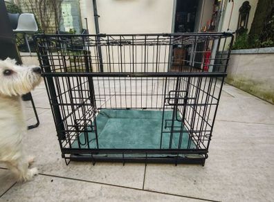 dog crate