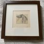 pencil drawing of a horses head Image 3