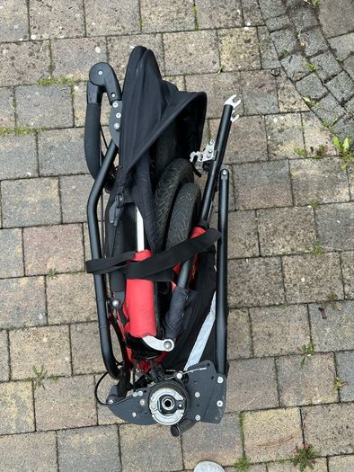 Delta Delichon Special Needs Buggy