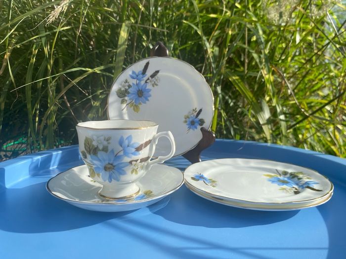 Arklow bone china trio and plates