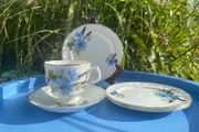 Arklow bone china trio and plates