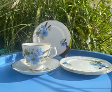 Arklow bone china trio and plates