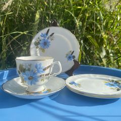 Arklow bone china trio and plates