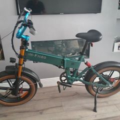 fiido m1 pro