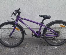 Kids Frog Bike