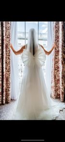 Bianco Evento wedding dress (including bow and veil)