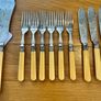 Antique 1894 Silver Collared Sheffield Fish Set Image 3