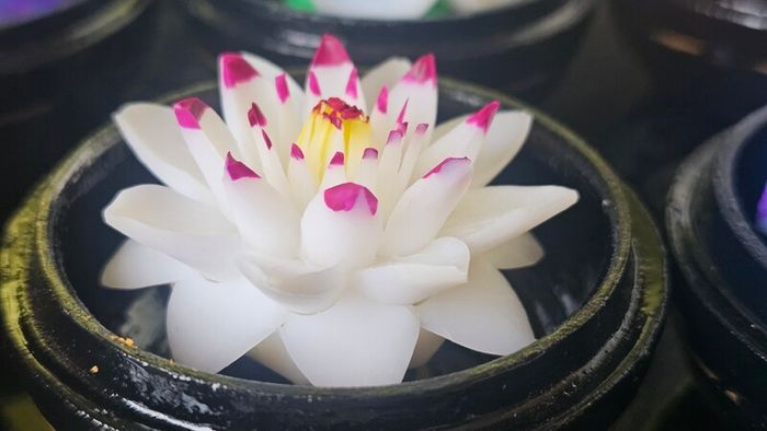 Beautiful Handmade Soap Flowers from Thailand Unique Christmas Gift  20 euro EACH