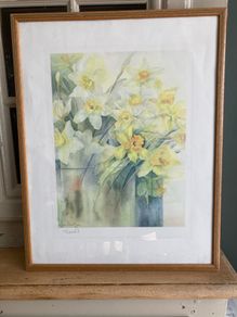 Watercolourist Karen Armitage limited edition print of daffodil