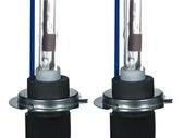 Xenon Bulbs