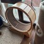 CatWheel Image 5