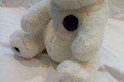 Soft Cuddly Bear in a box