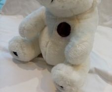 Soft Cuddly Bear in a box
