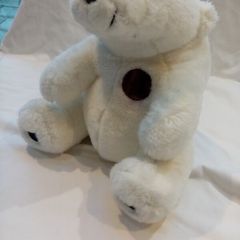 Soft Cuddly Bear in a box