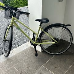 Giant Liv Alight Ladies Trekking Bike (Small)