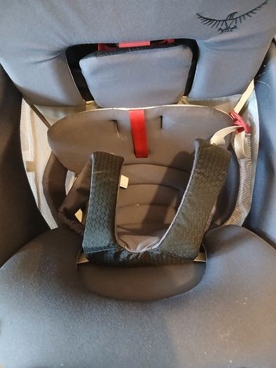Osprey Child Carrier