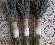 Lavender From Our Garden to Your Home