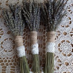Lavender From Our Garden to Your Home