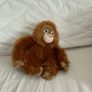 Teddys Image 5
