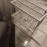 cage Image 3