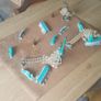 Warhammer Age of Sigmar Warcry Ravaged Lands Scales of Talaxis Image 4