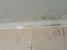 painter and plastering, painting Image 9
