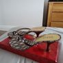 Guess Shoe Image 3