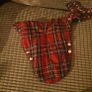 small dog clothes Image 7