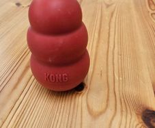 kong dog toy