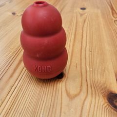 kong dog toy