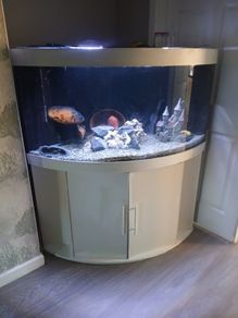 fish tank