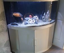 fish tank
