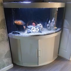 fish tank