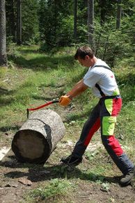 Sappel  | ergonomically curved aluminium handle | 700 mm | Branch tractors | Hand sappel for picking, moving and transporting pieces of wood and tree trunks
