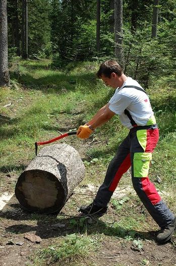 Sappel  | ergonomically curved aluminium handle | 700 mm | Branch tractors | Hand sappel for picking, moving and transporting pieces of wood and tree trunks