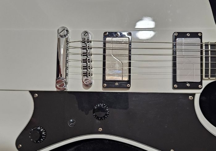ESP Ltd Deluxe Phoenix 1000