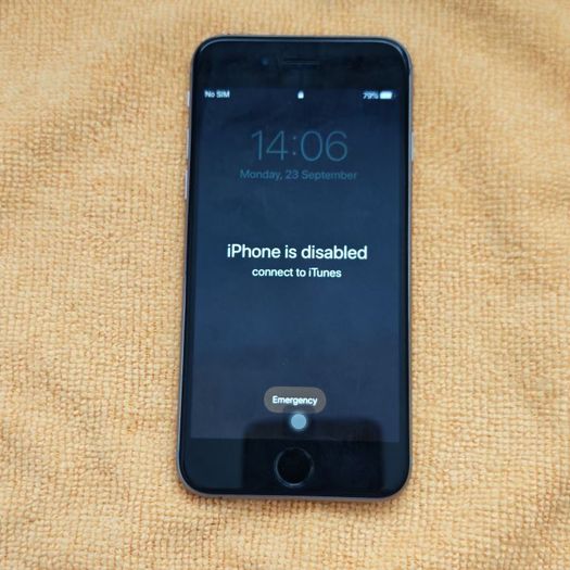iPhone 6S - Semi-functional