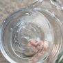Hand blown glass swan Image 7
