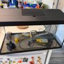 AQuael Fish tank Image 4