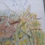 Watercolour. Image 9