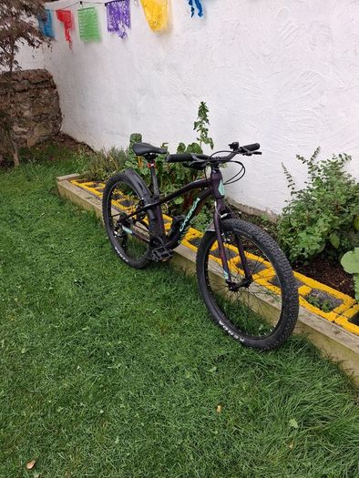Mountain Bike - Orbea Mx24 Dirt