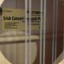 Irish Bouzouki with pickup +2 sets of bouzouki strings Image 3