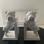 Reduced Pair of 9 inch tall English Bulldog bookends Image 3