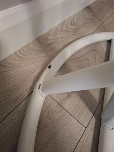 Egg Chair